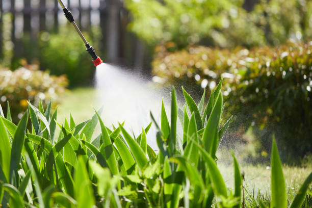 24/7 Emergency Ant Control experts in Franklin, OH